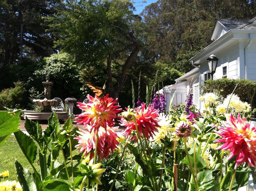 Monarch Cove Inn Capitola Exterior foto